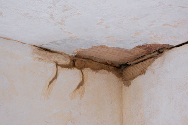 Best Water damage restoration near me  in Orange, CA