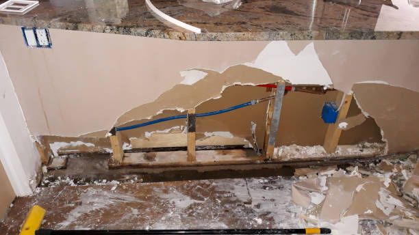 Best Professional water damage repair  in Orange, CA