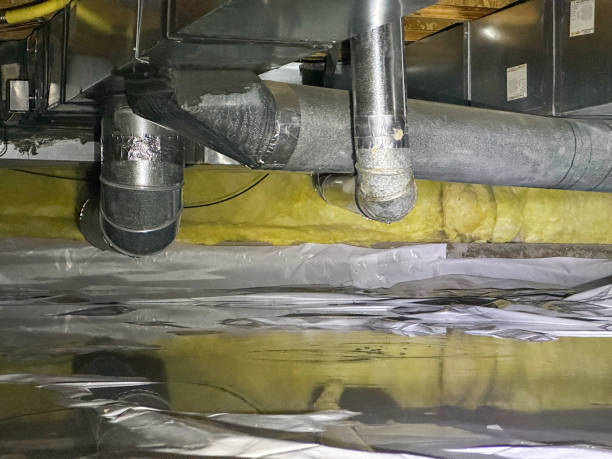 Best Mold removal after water damage  in Orange, CA