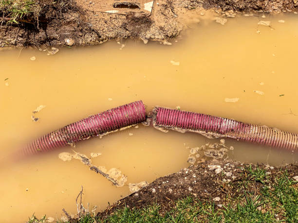 Best Water damage restoration experts  in Orange, CA